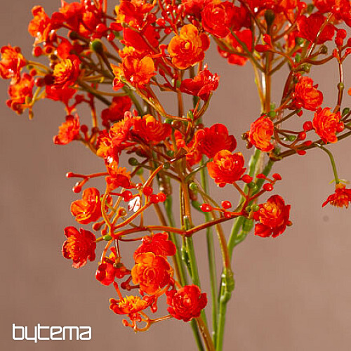 MAVEČNI SPREJ ORANŽNEGA OBLIKA