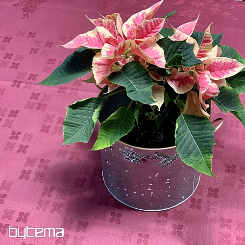 Prt DAMASK rože bordo 120x140