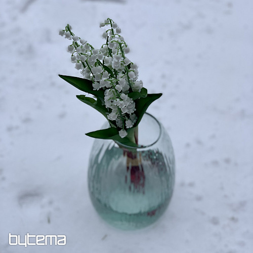 LILIJA DOLGOŽIVEČJA