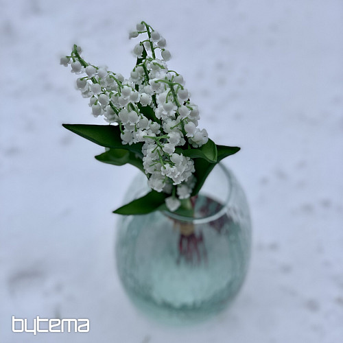 LILIJA DOLGOŽIVEČJA