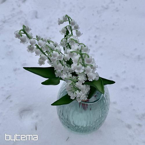 LILIJA DOLGOŽIVEČJA