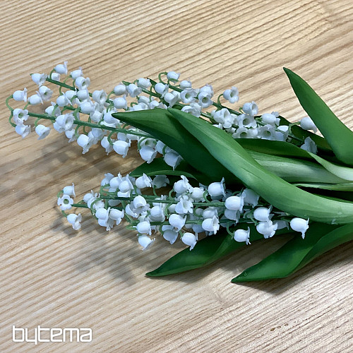 LILIJA DOLGOŽIVEČJA