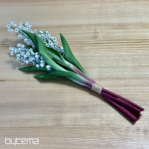 LILIJA DOLGOŽIVEČJA