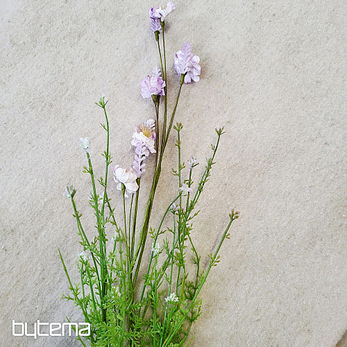 VIJOLIČNI TRAVNIŠKI CVETOVI