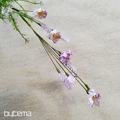 VIJOLIČNI TRAVNIŠKI CVETOVI