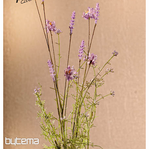 VIJOLIČNI TRAVNIŠKI CVETOVI