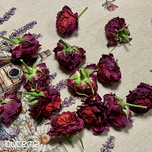 Tapiserijski prt in šal BIRDHOUSE