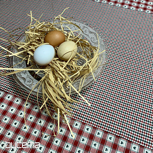 Prt in šal MAXI CORET rdeč