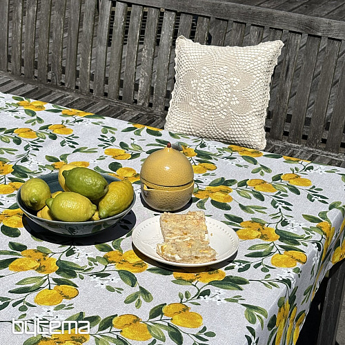 Prt LIMONINA