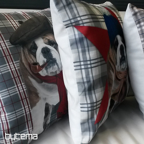 Okrasna prevleka za blazino BULDOG HARRY 2