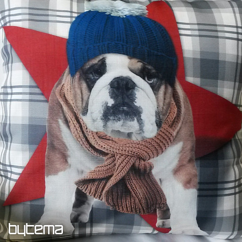 Okrasna prevleka za blazino BULDOG HARRY 2