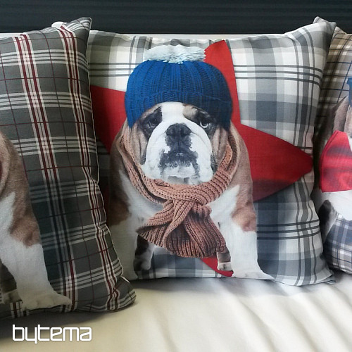 Okrasna prevleka za blazino BULDOG HARRY 2