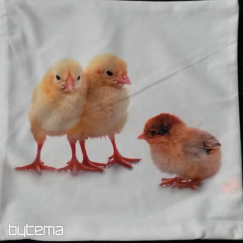 Okrasna prevleka za blazino PIŠČANČEK