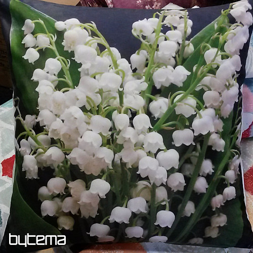 LILY OF THE LILY prevleka za blazino