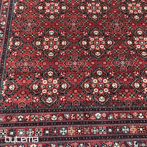 Luksuzne volnene preproge KASHQAI 4372/300