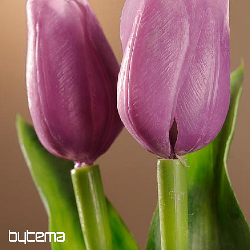 Mešanica barv tulipanov