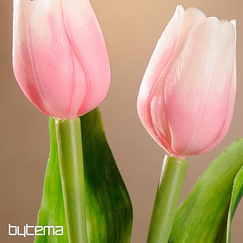 Mešanica barv tulipanov