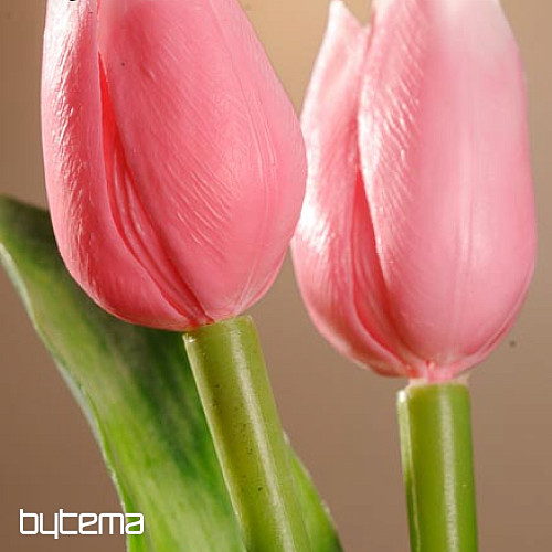 Mešanica barv tulipanov