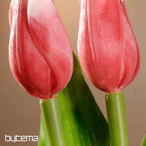 Mešanica barv tulipanov