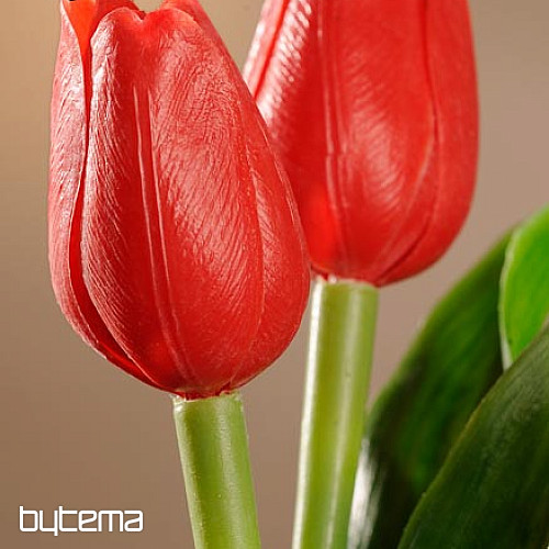 Mešanica barv tulipanov