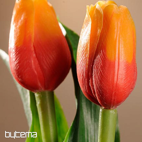 Mešanica barv tulipanov