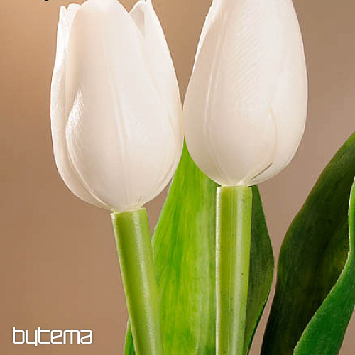 Mešanica barv tulipanov
