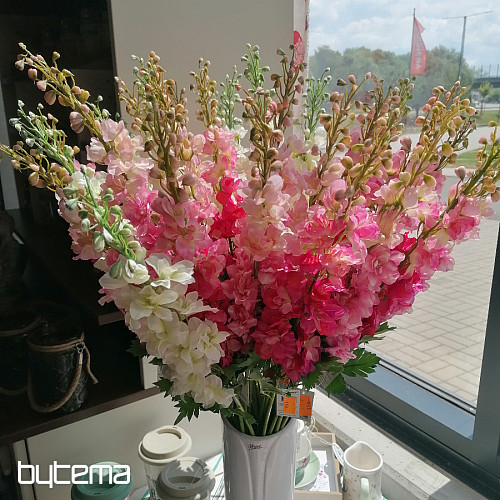 Delphinium roza 79 cm