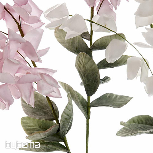 Glicinija 126 cm