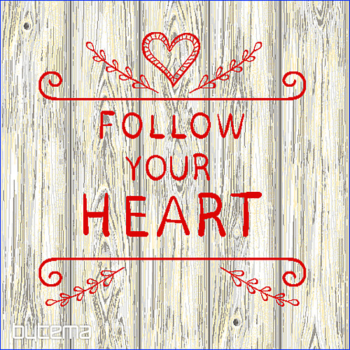 Prevleka za blazino FOLLOW YOUR HEART